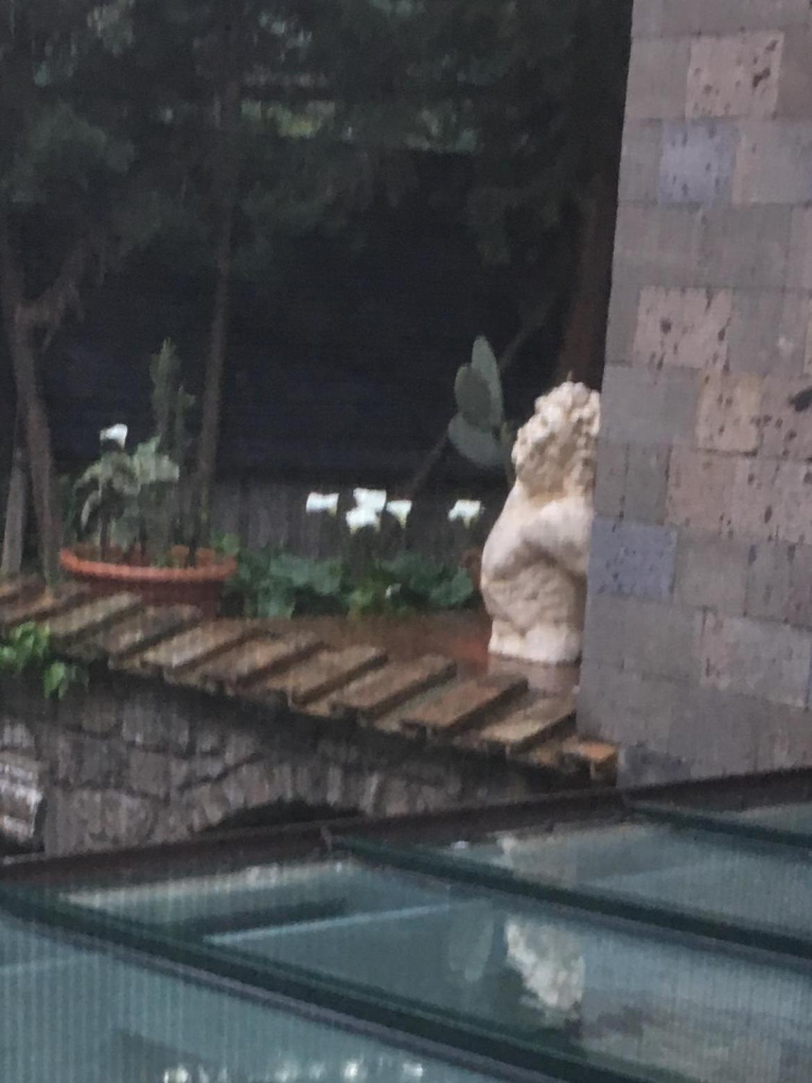 مبيت وإفطار سورينتو Domus Felix المظهر الخارجي الصورة